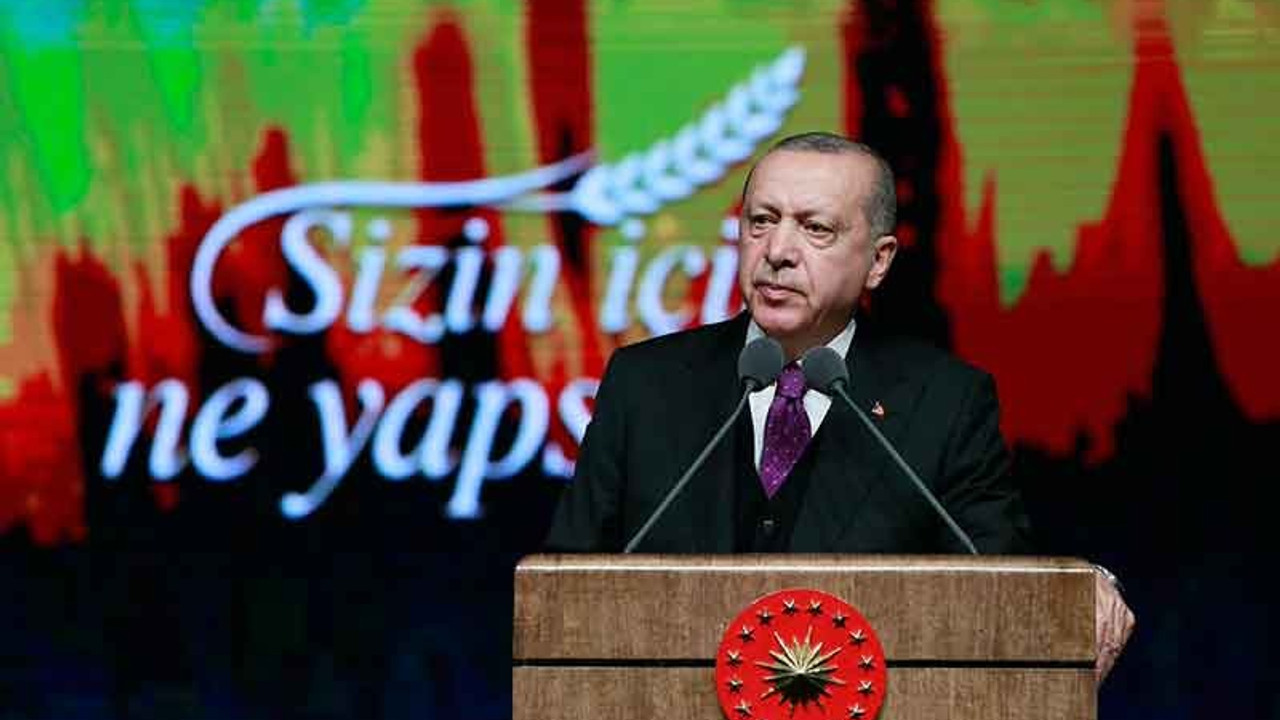 Erdoğan çevrecilere 'maske takmış vandallar' dedi