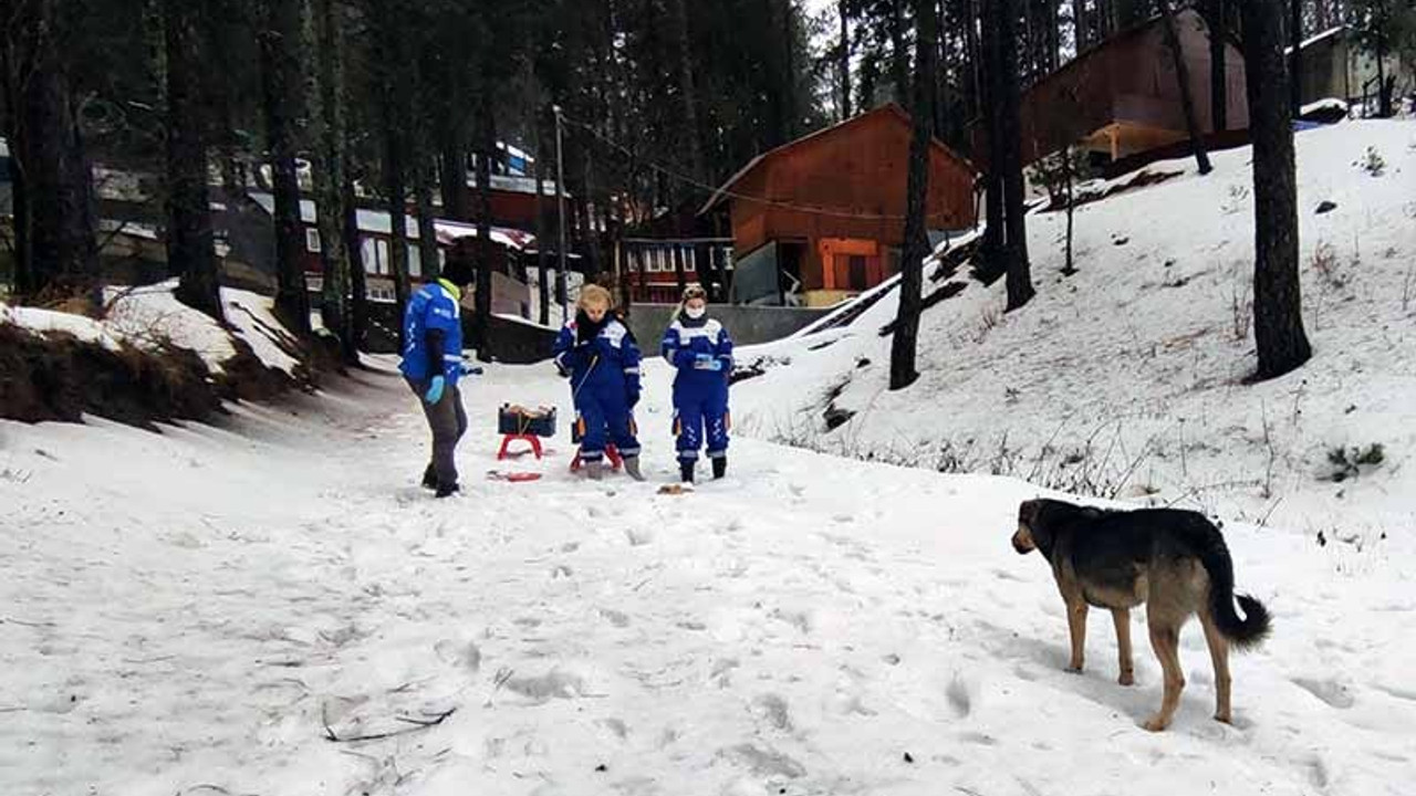 Sokak hayvanları için karda kızaklarla yiyecek taşıdılar