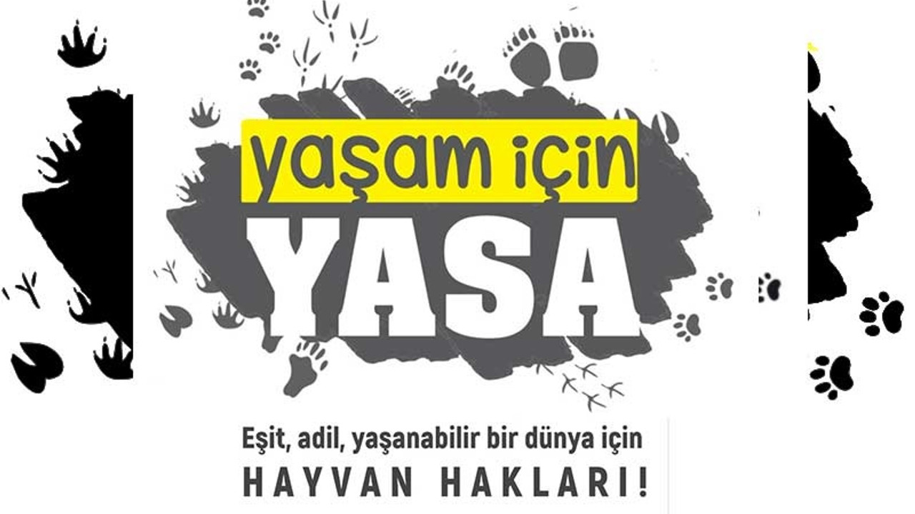 'Hayvanların yaşam hakkı anayasal güvenceye kavuşturulmalıdır'