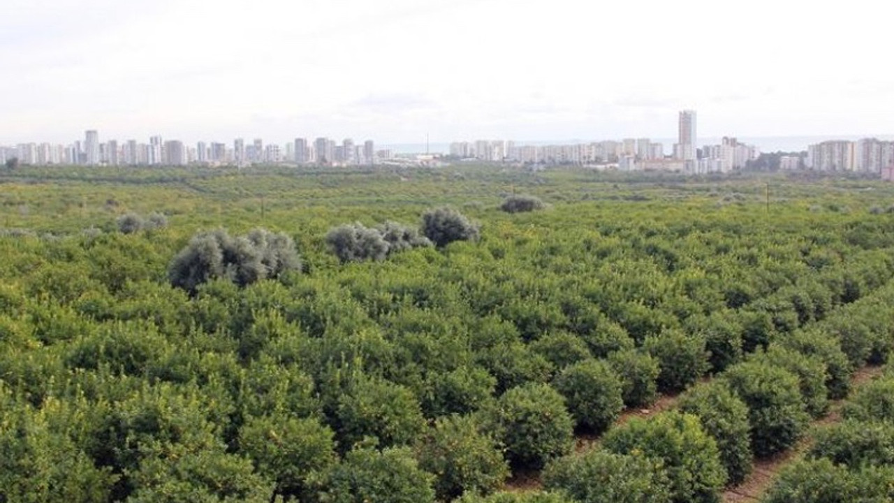 Cumhurbaşkanlığı kararnamesi: 30 bin ağaçlı bölgeye sanayi sitesi