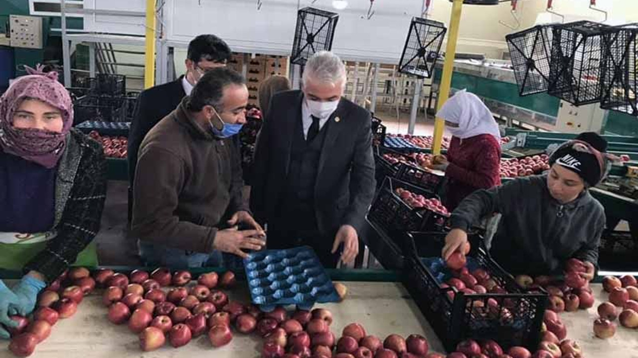 Elmanın fiyatı 700 metrede dört kat artıyor