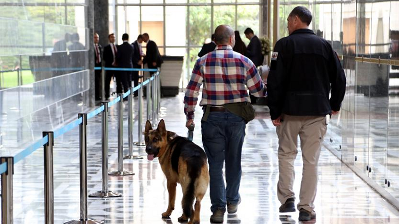 'Köpekli arama Erdoğan değil, Kahraman için'