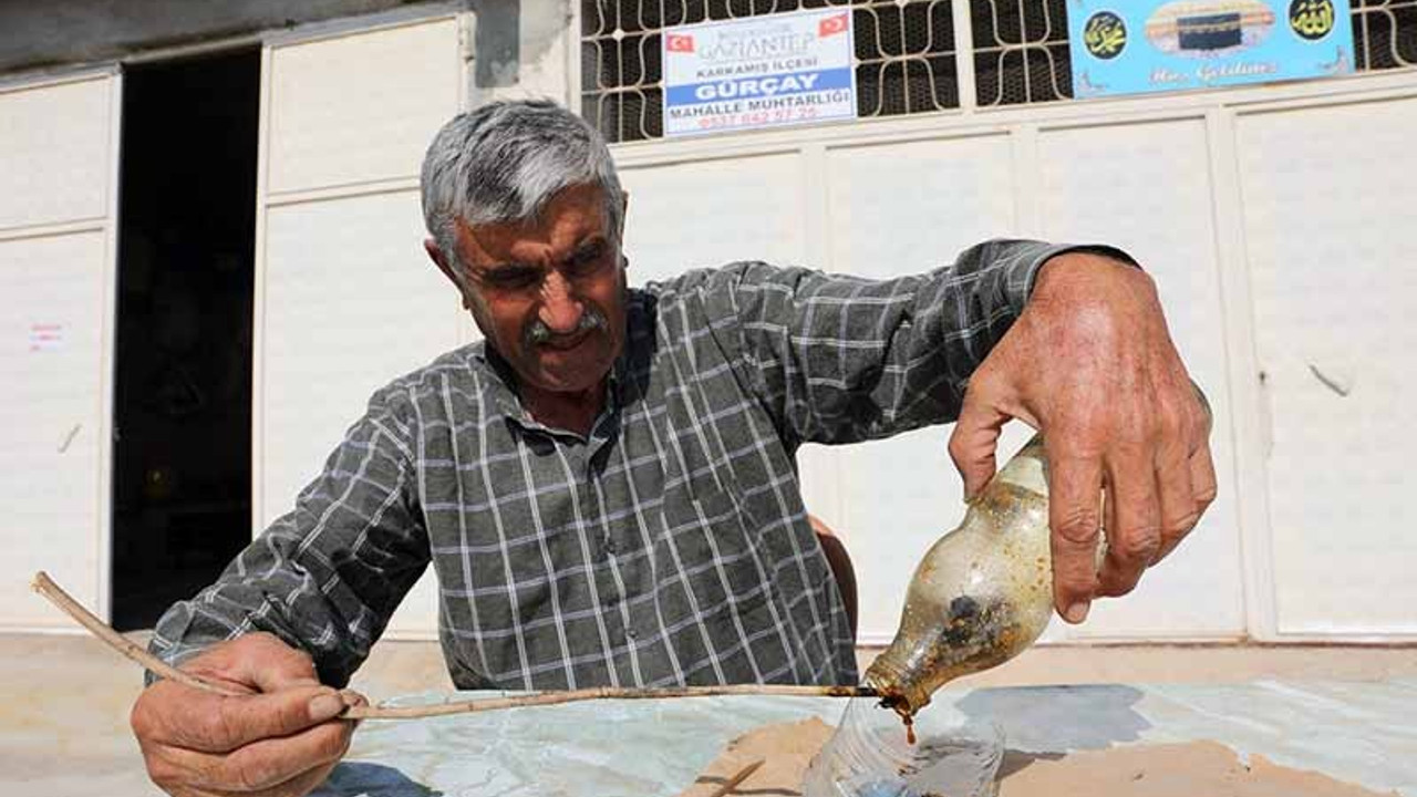 21 yıldır akrep toplayan Mehmet Bozkurt, akrepleri şişeye kapatıp zeytinyağında bekletiyor