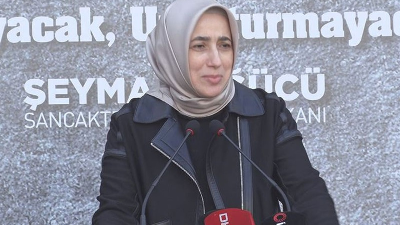 AKP'li Özlem Zengin: Saldırılar temsil ettiğim şeyler yüzünden ortaya çıkıyor