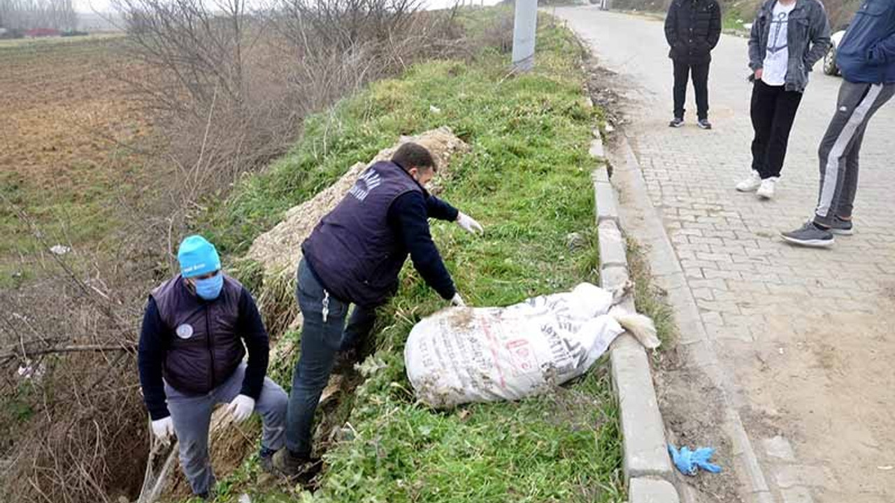 Sokak köpeğini ayaklarını bağlayıp koydukları çuvalla dereye atarak, öldürdüler