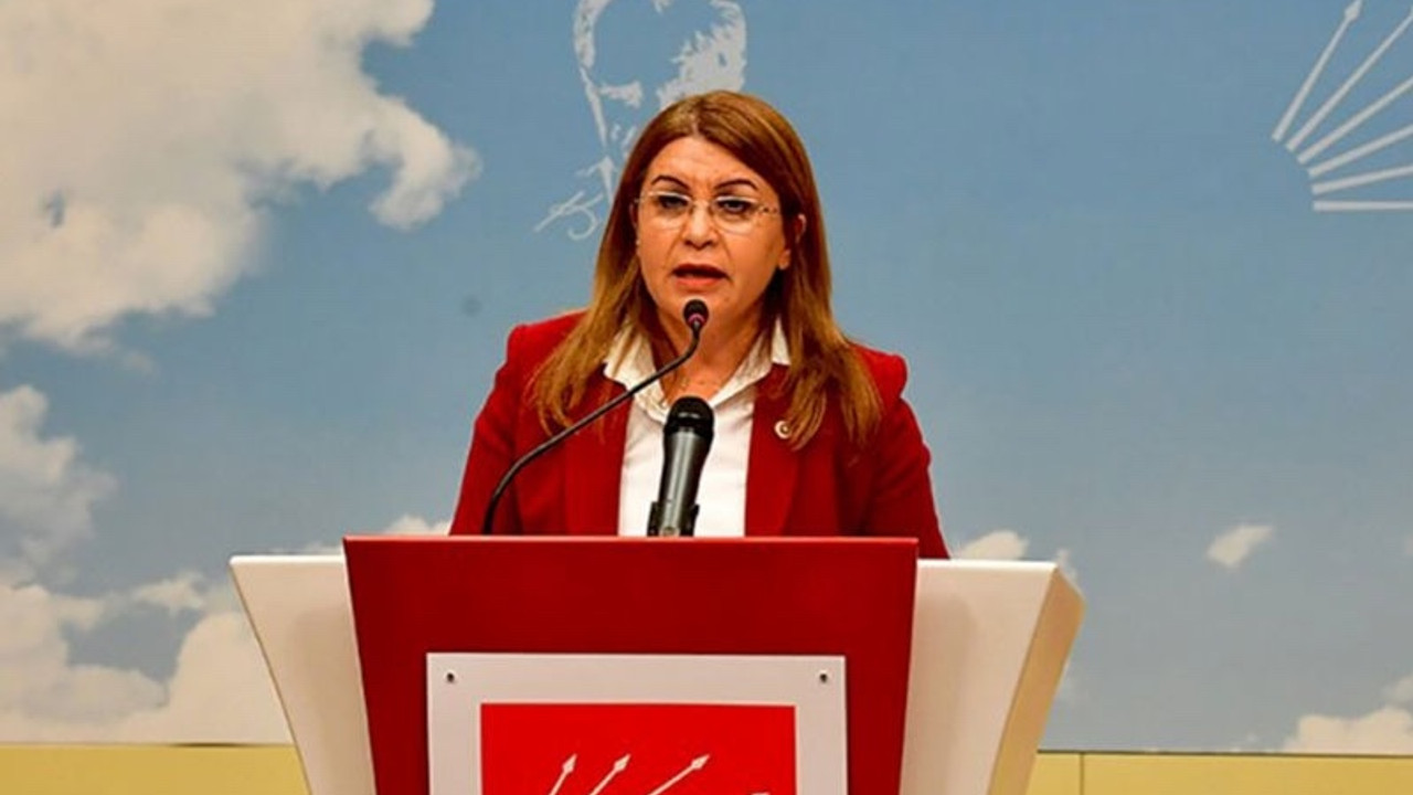 CHP'den 'İnsan Hakları Eylem Planı' tepkisi: Söz konusu para olunca Saray fırsatı kaçırmadı