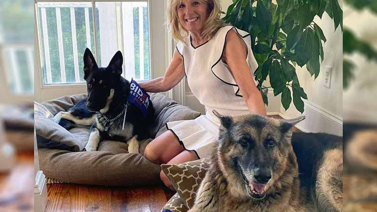 ABD Başkanı Biden’ın köpeği 'Major' Beyaz Saray'ı birbirine kattı