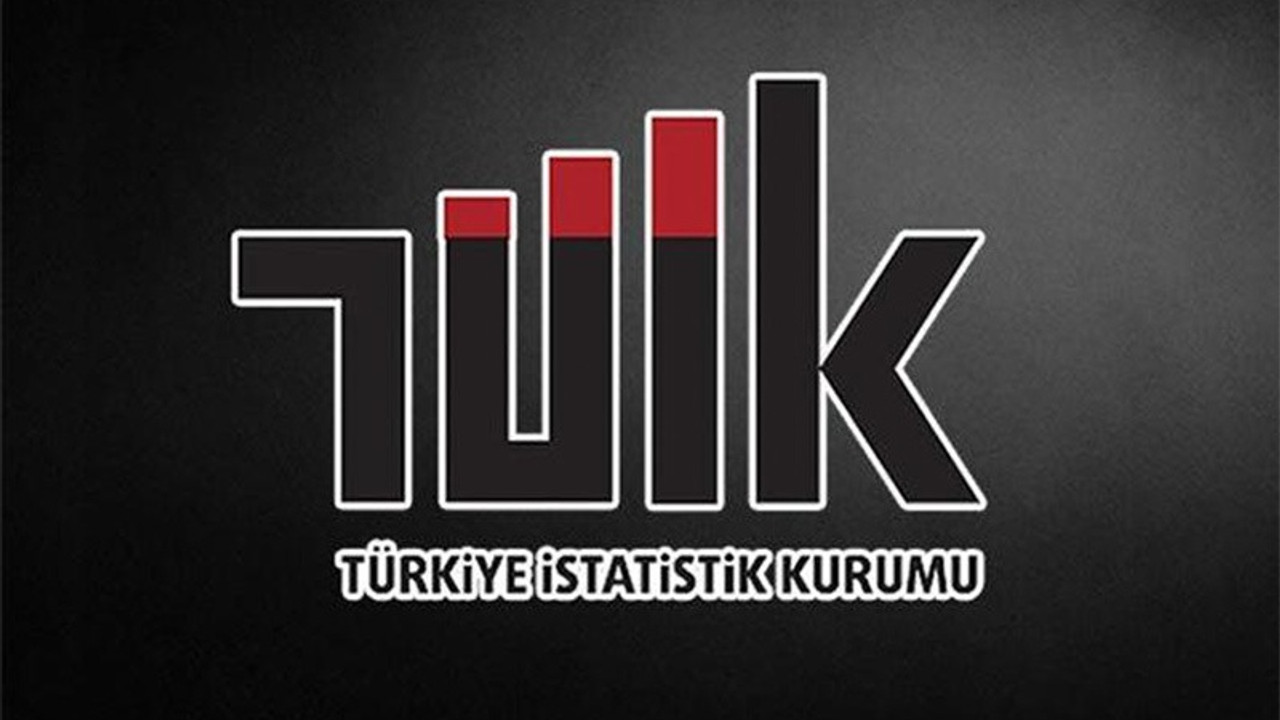 Bir önceki başkan getirmişti, Türkiye İstatistik Kurumu danışma kurullarını lağvetti