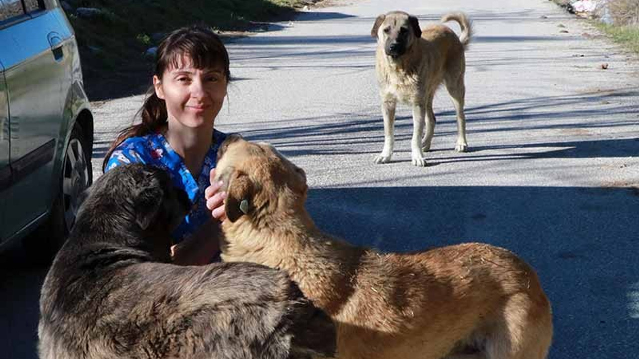 Ameliyattan ve nöbetten çıkıp, sokak hayvanlarını beslemeye koşuyor