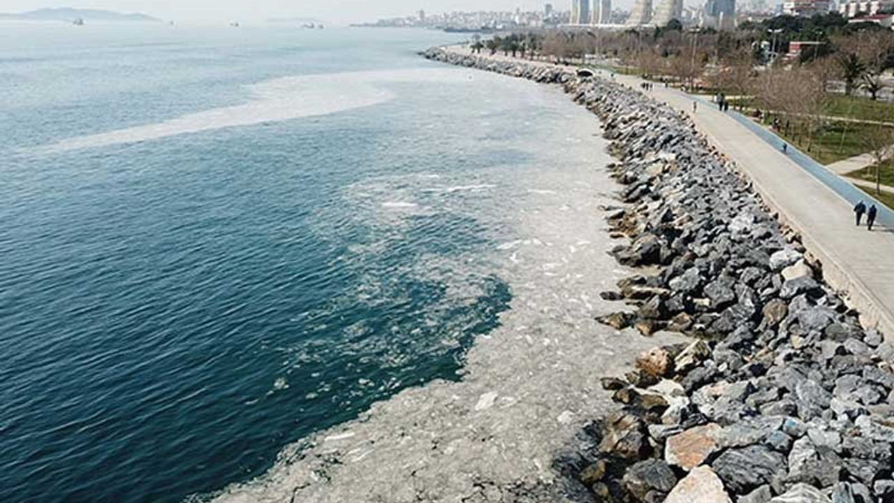 Pendik ve Kartal sahilindeki kirliliğin sebebi belli oldu