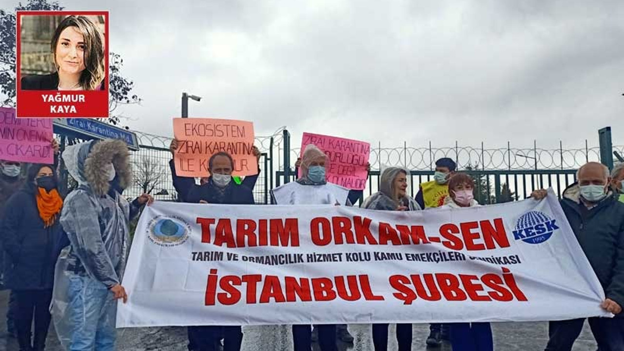 'Tarımsal eğitimin başladığı yer, Zirai Karantina Müdürlüğü işlevine bakılmaksızın gözden çıkarıldı'