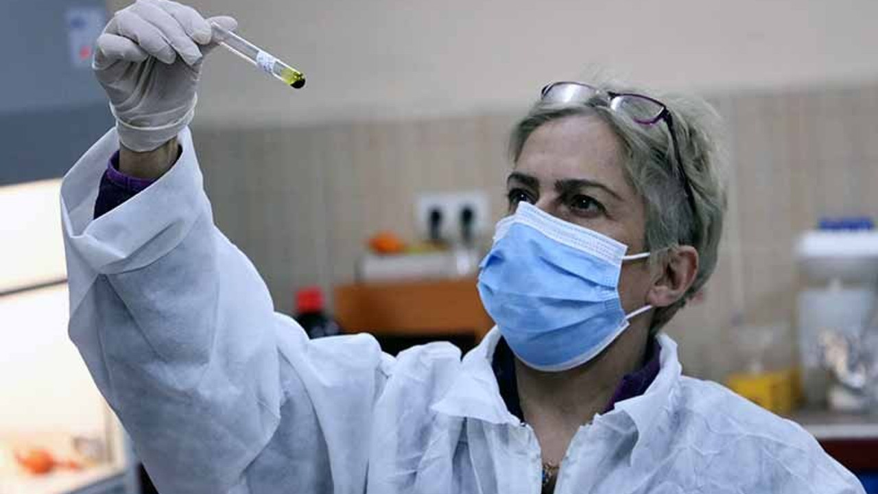 Coronavirus'ün vücutta çoğalmasını engelleyen etken madde geliştirdi