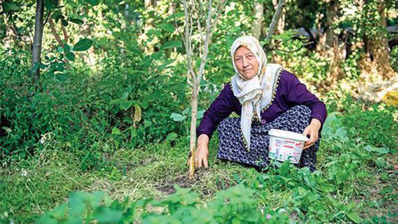 'Hele bir bostanıma gelsinler üstlerine kaynar su dökerim'