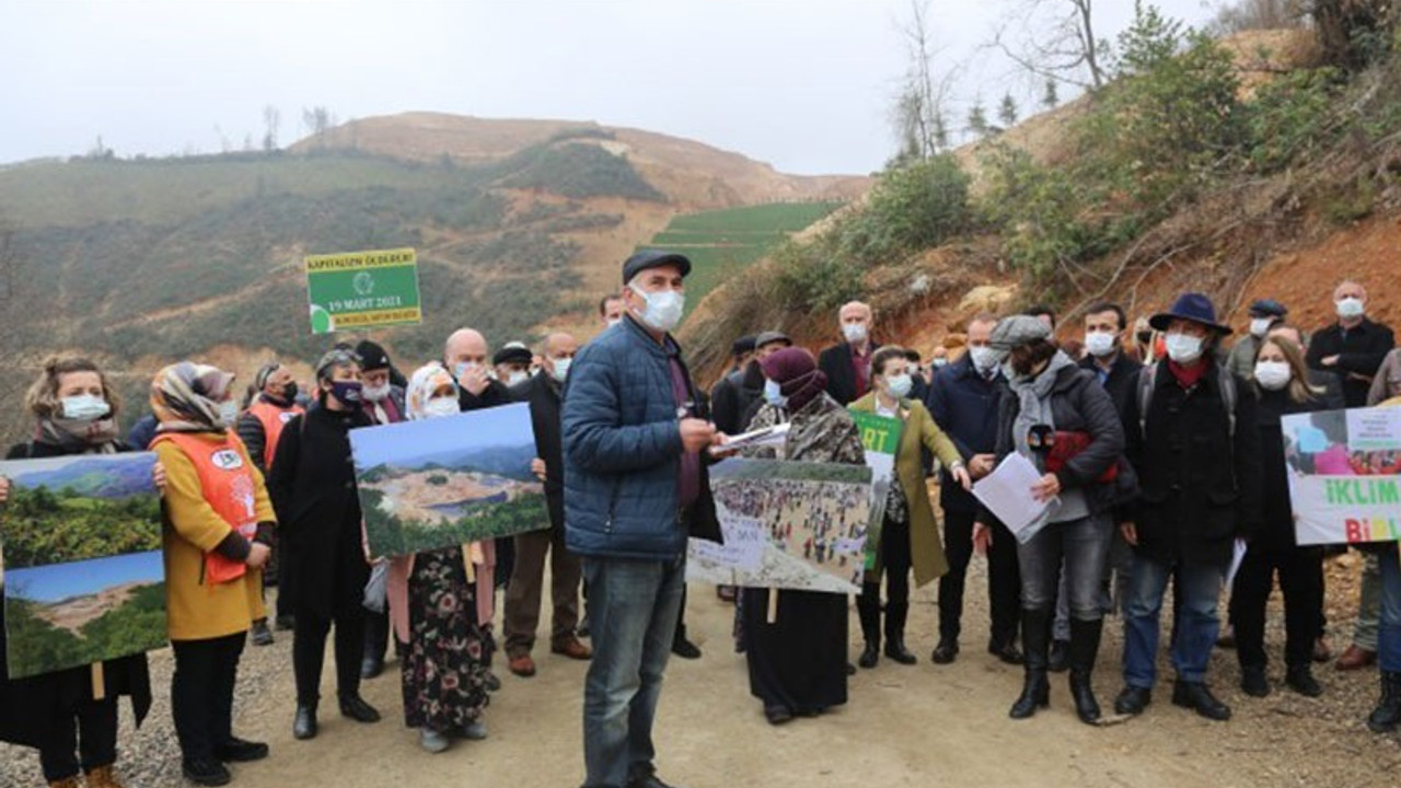 Fatsa'da maden şirketi lehine yapılan ağaç kesimi protesto edildi: Nefesimizi kesmeyin