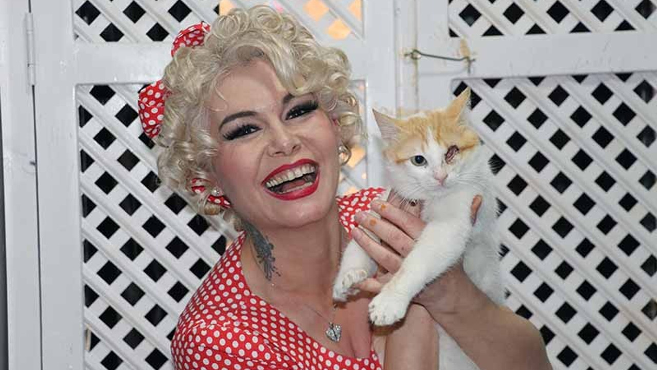 Mardinli 'Marilyn Monroe', kedi sığınma evi kurdu