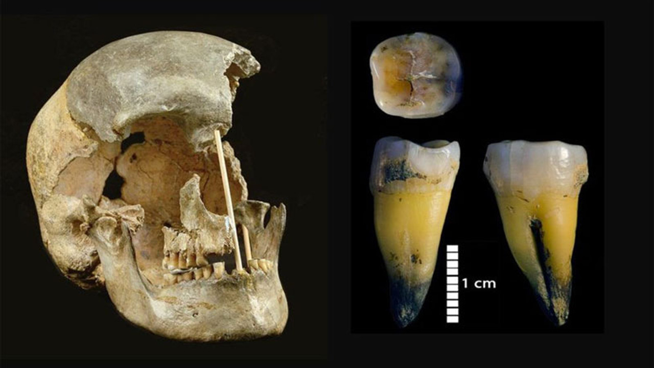 Modern insanlara ait en eski DNA bulundu