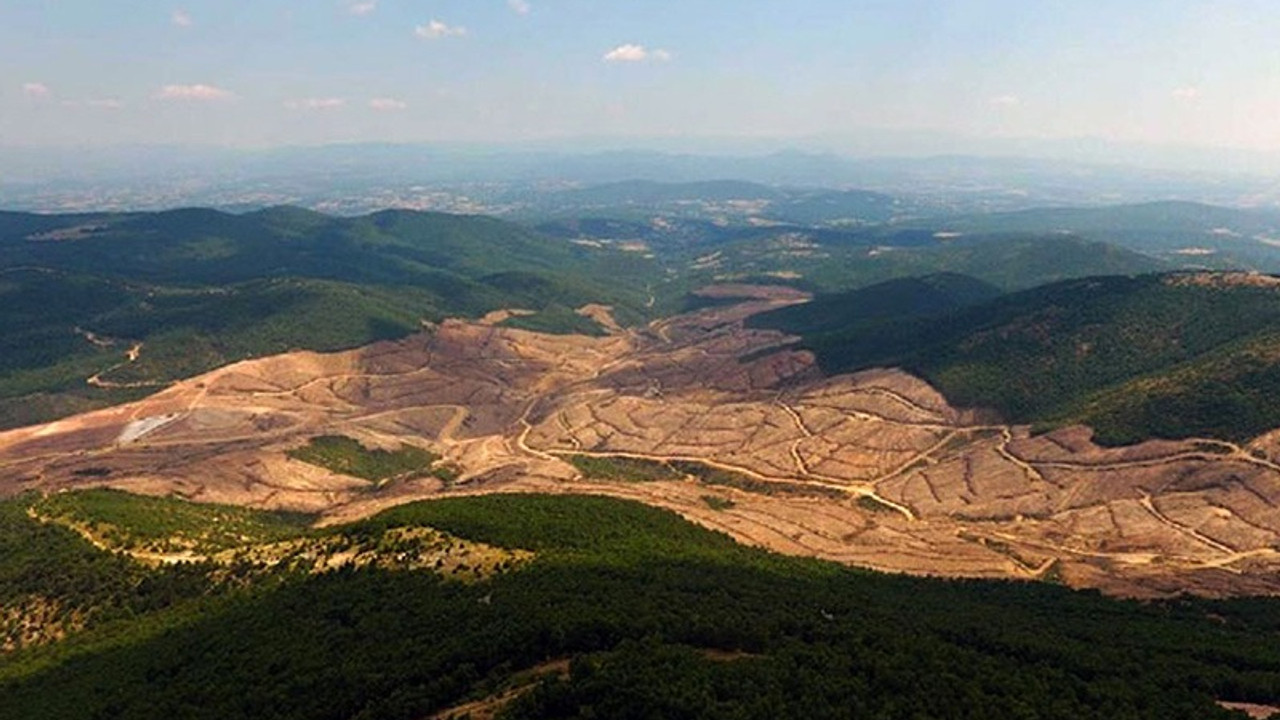 Kanadalı altın madenciliği şirketi Alamos Gold, Türkiye'ye karşı dava açacak