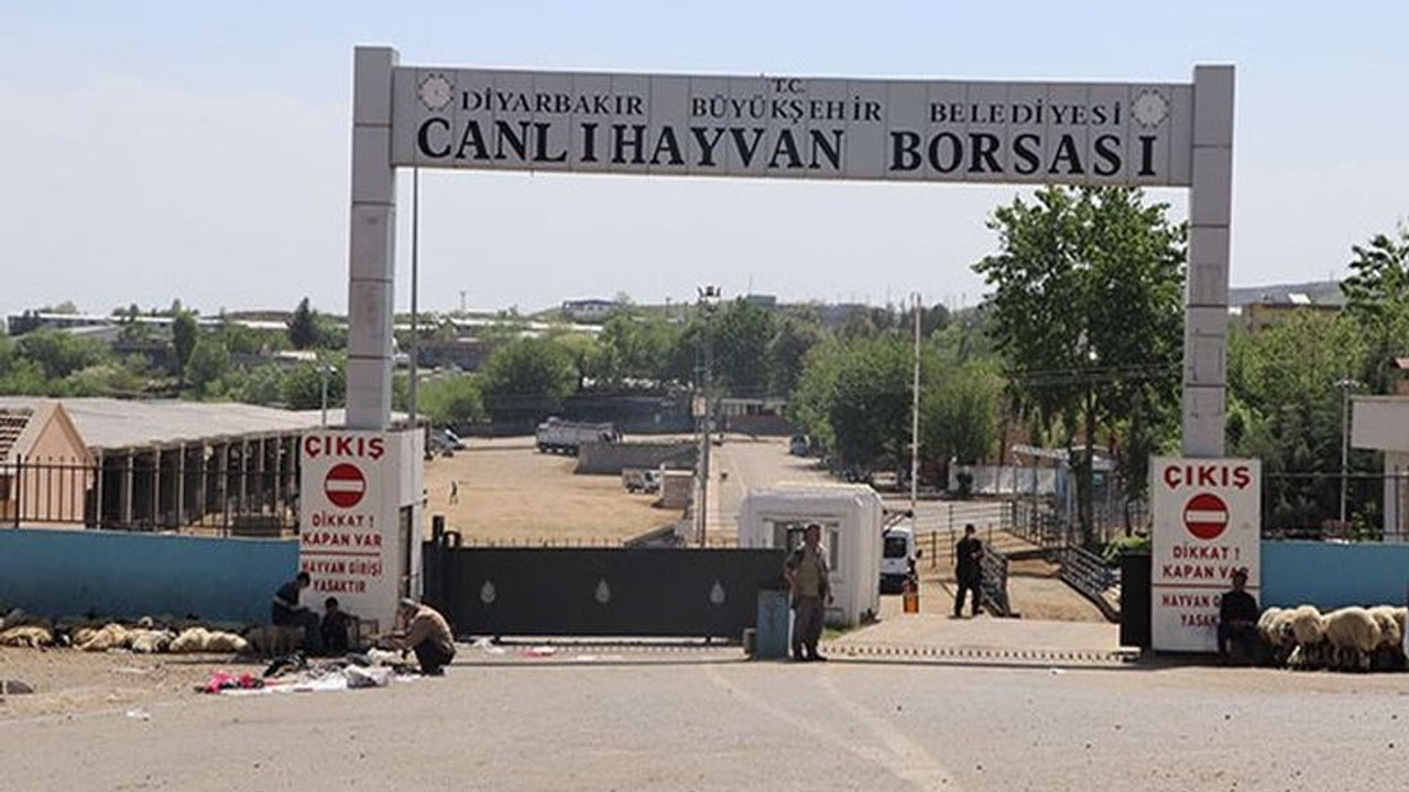 Canlı Hayvan Borsası'nda kavga: 1 ölü, 2'si ağır 4 yaralı