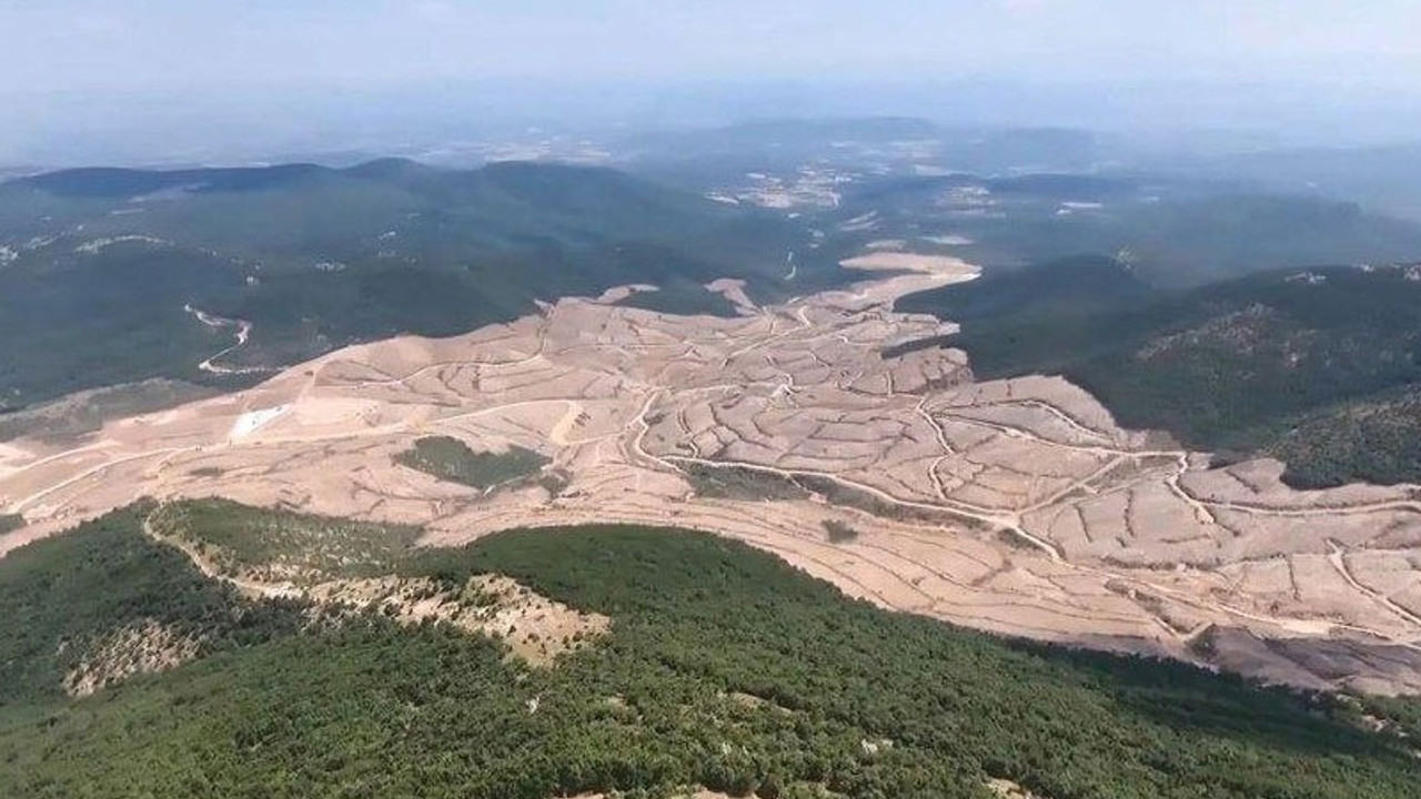 Kazdağları’ndaki binlerce ağacın kesildiği saha bakanlığa devredildi