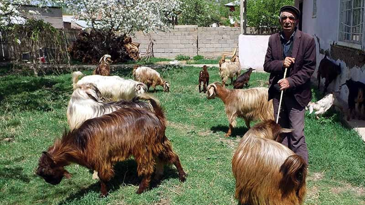 Hayatı boyunca köyünden yalnızca 2 gün çıktı ama adına açılmış onlarca şirketi var