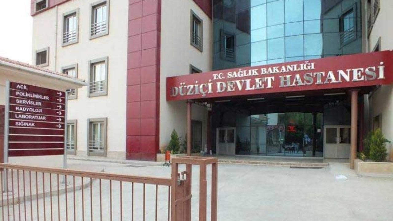 Kedileri vurmaya çalışan 15 yaşındaki çocuk, kuzenini vurdu