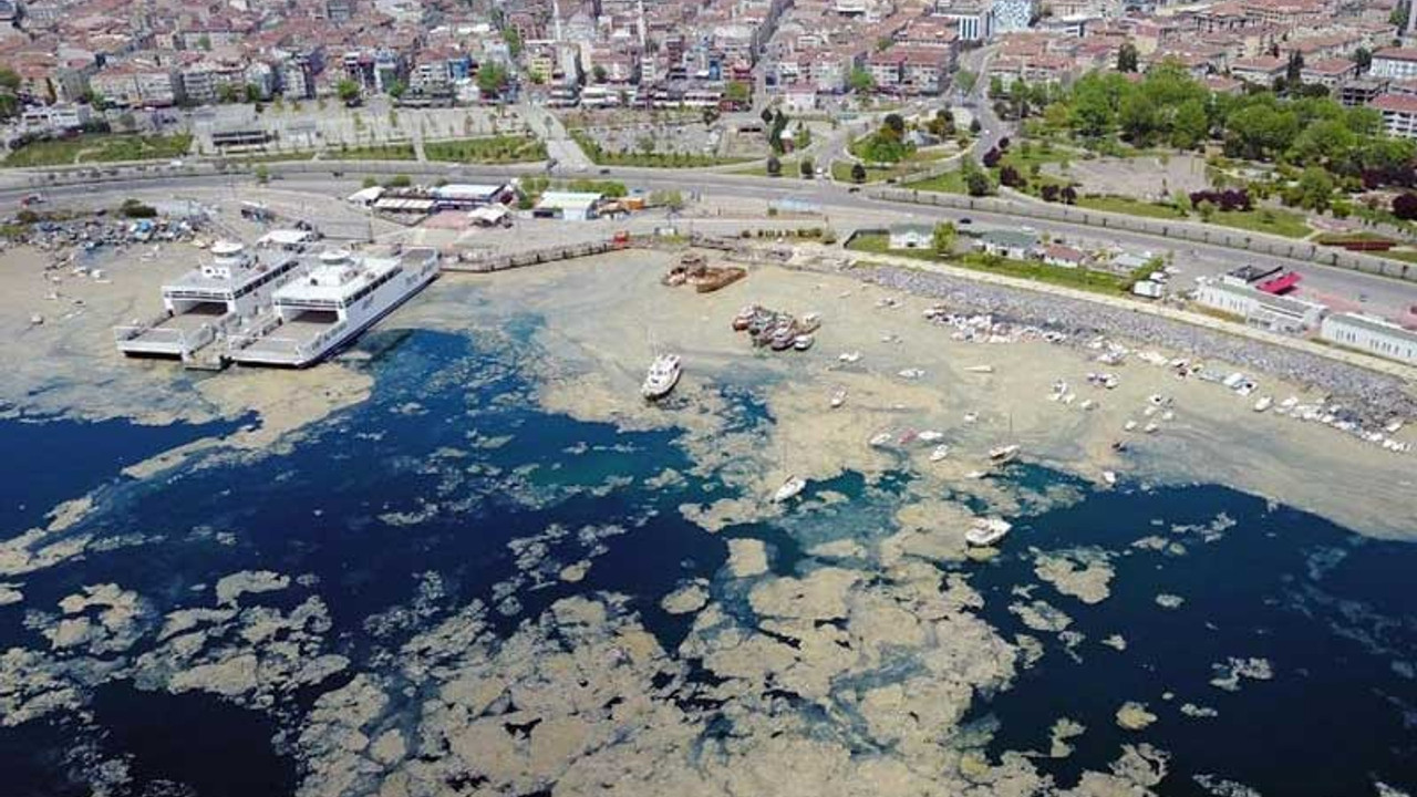 DOĞADER: Marmara Denizi, Marmara bölgesinin foseptik kuyusuna döndü