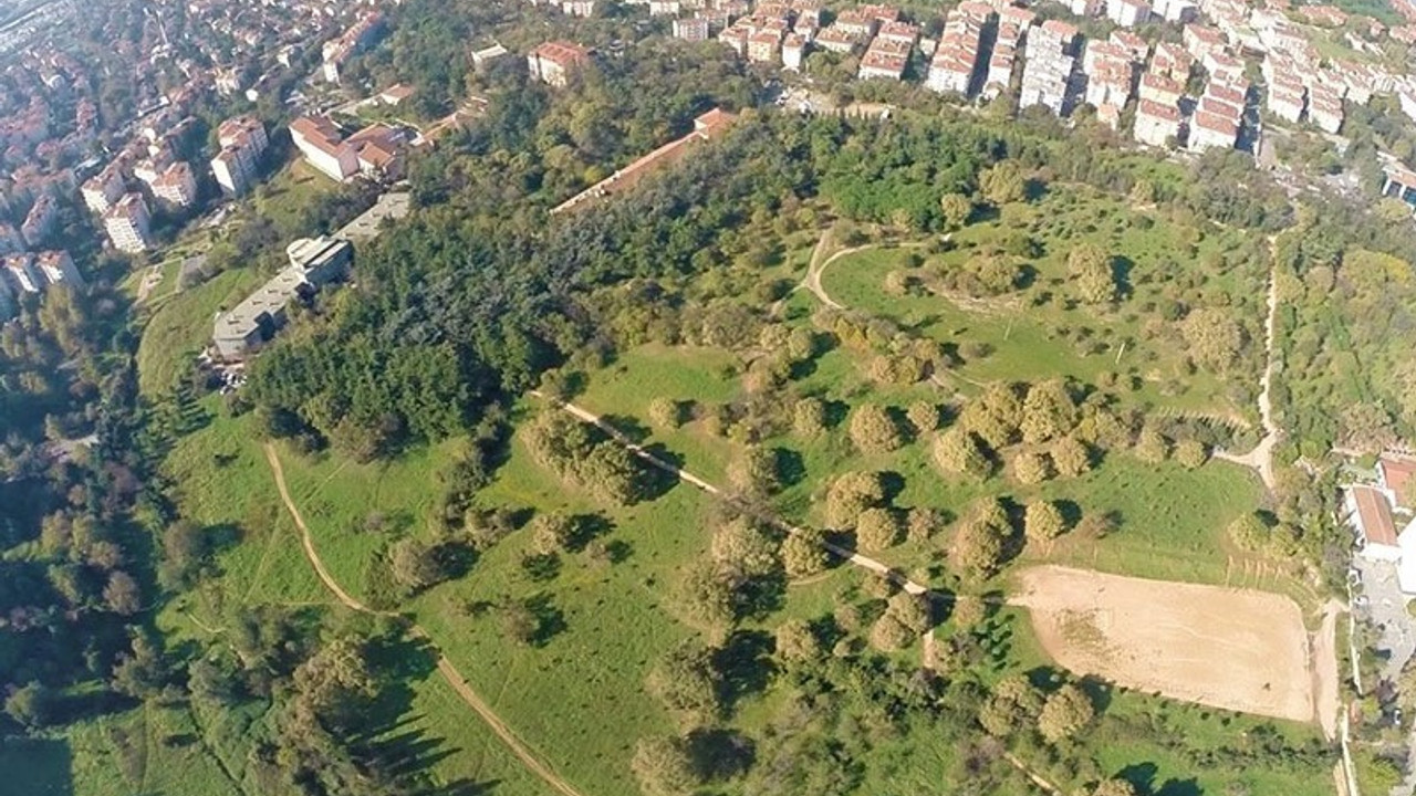 Validebağ Korusu'na yapılmak istenen millet bahçesi için korunması gereken kuş ve ağaç türü az gösterilmiş