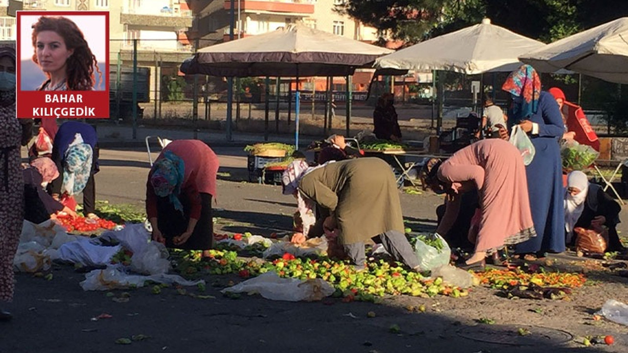 Tezgahlar kalktı yoksulluk ortaya çıktı: Alım gücü olmayan yurttaş yerden sebze meyve topladı