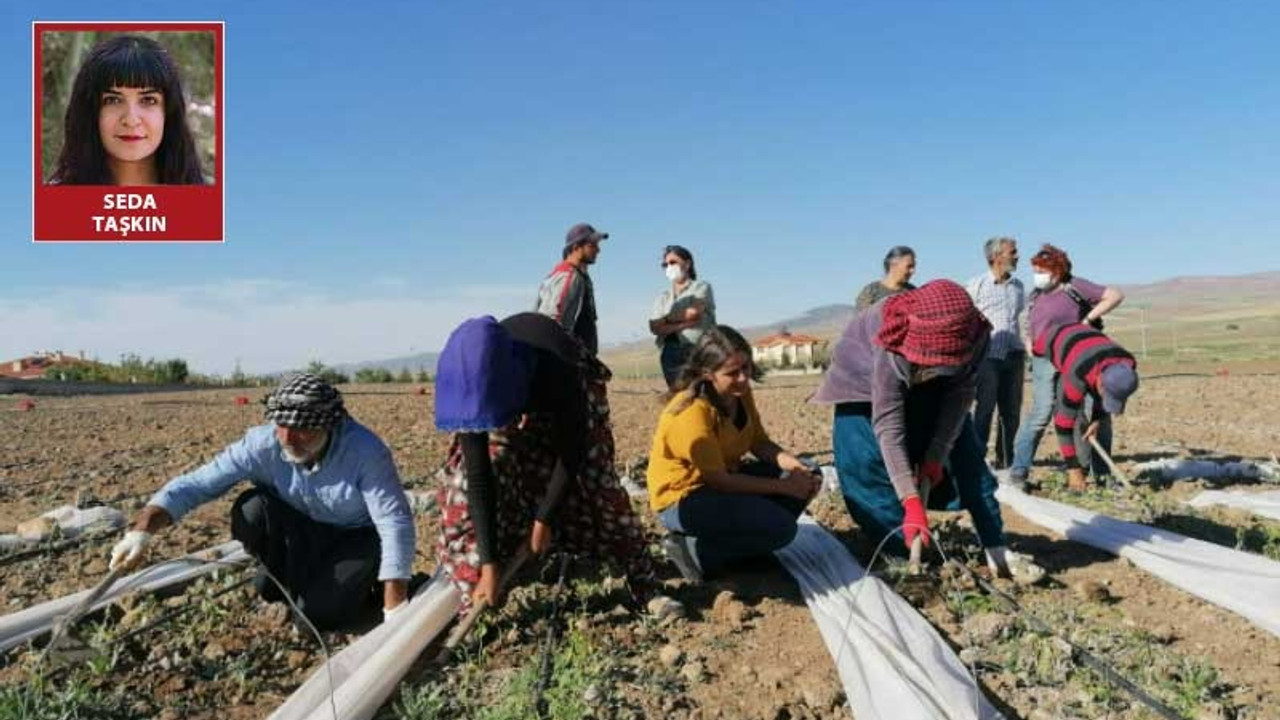 İşçi kadınlardan HDP'li kadınlara: Elbiselerimizi yıkamak için kilometrelerce yol yürüyoruz