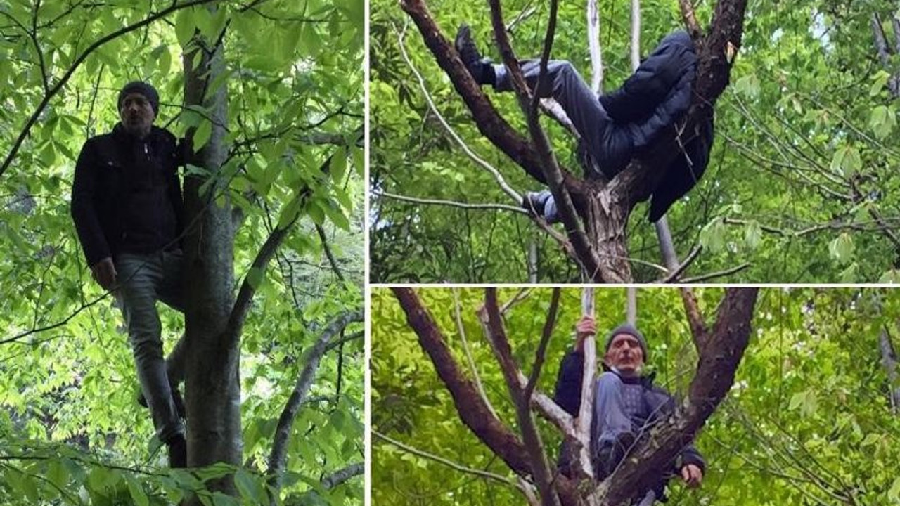 İkizdere'de ağaca çıkan 2 köylü gözaltına alındı