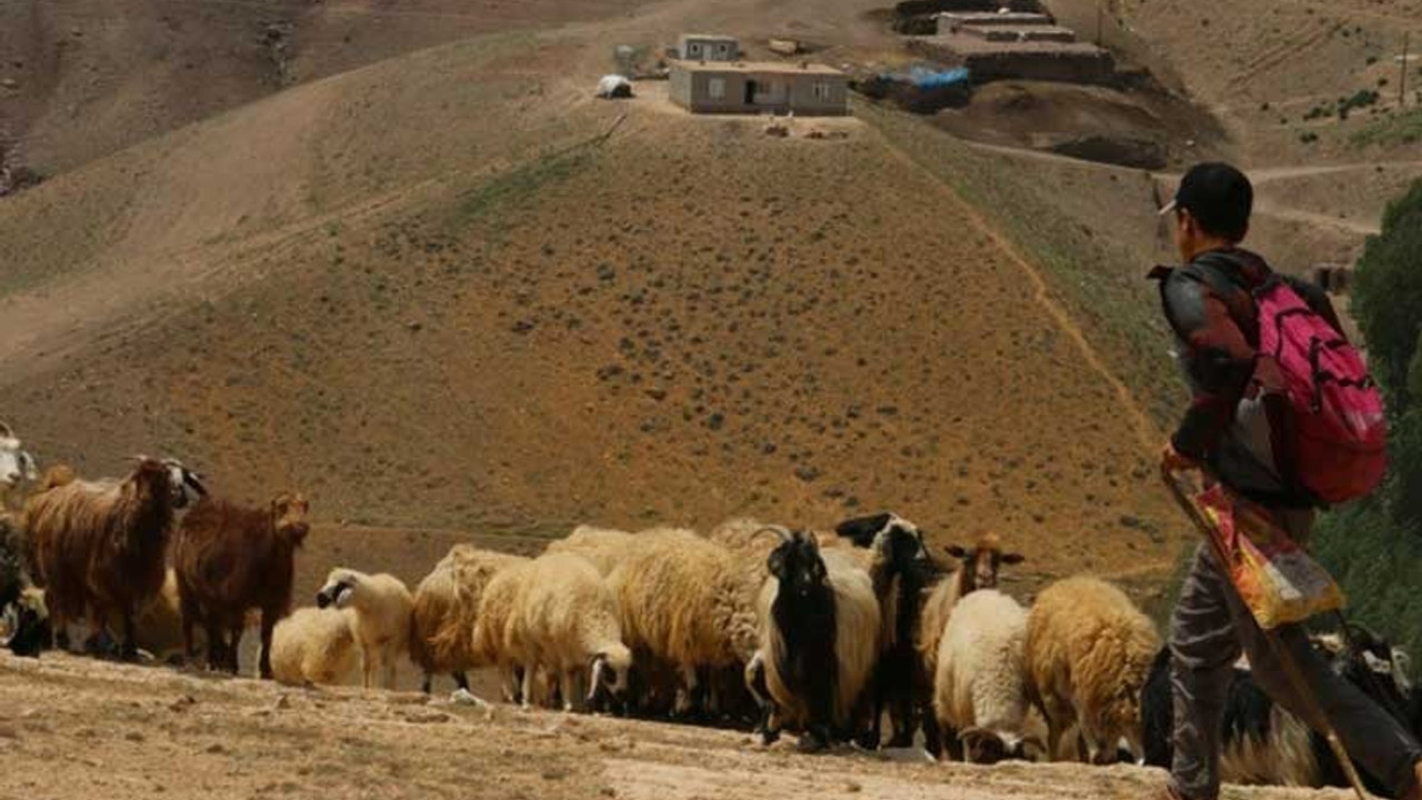 Mermer ocağına karşı çıkan Van halkı: Askerlerle gelerek zorla girmeye çalıştılar, 25 ahırı yıktılar