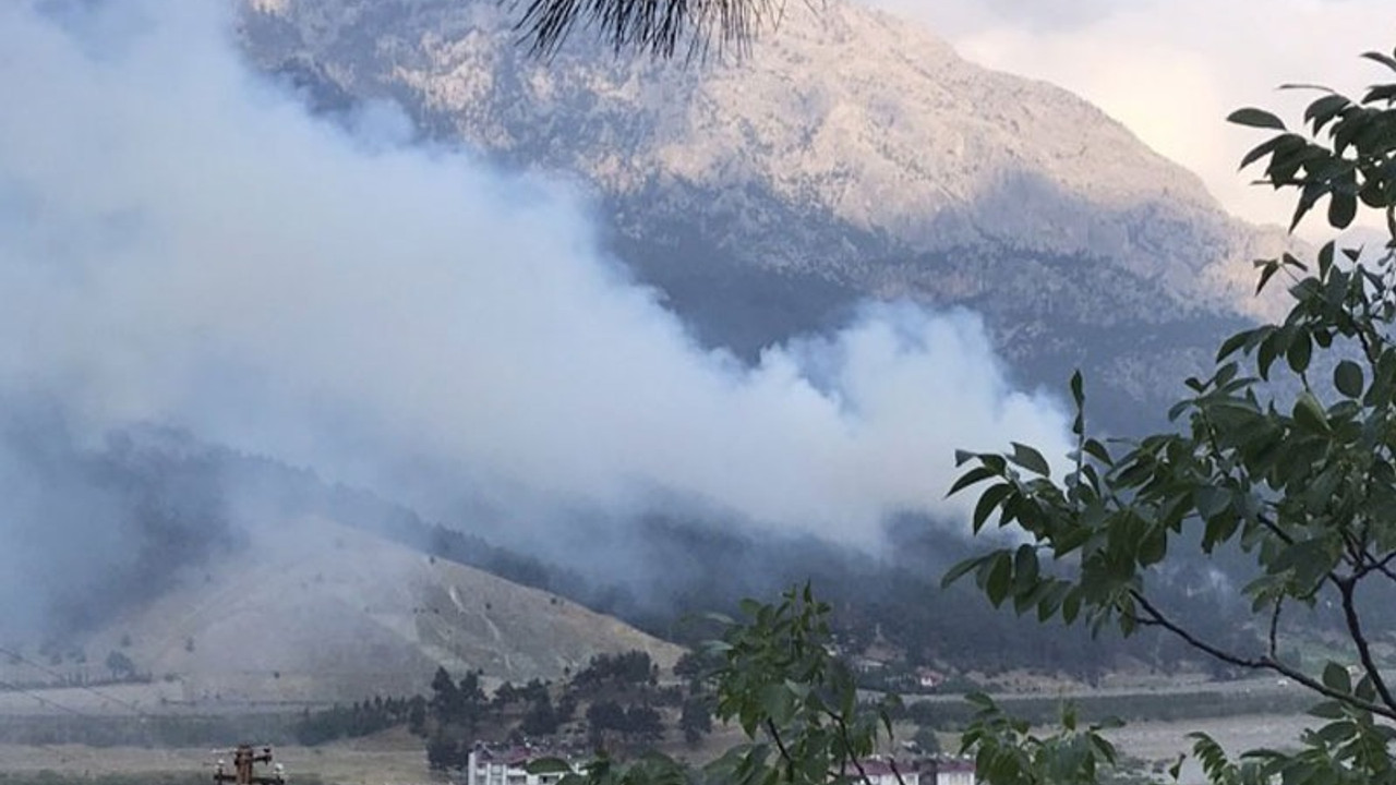 Adana'da ormanlık alanda yangın