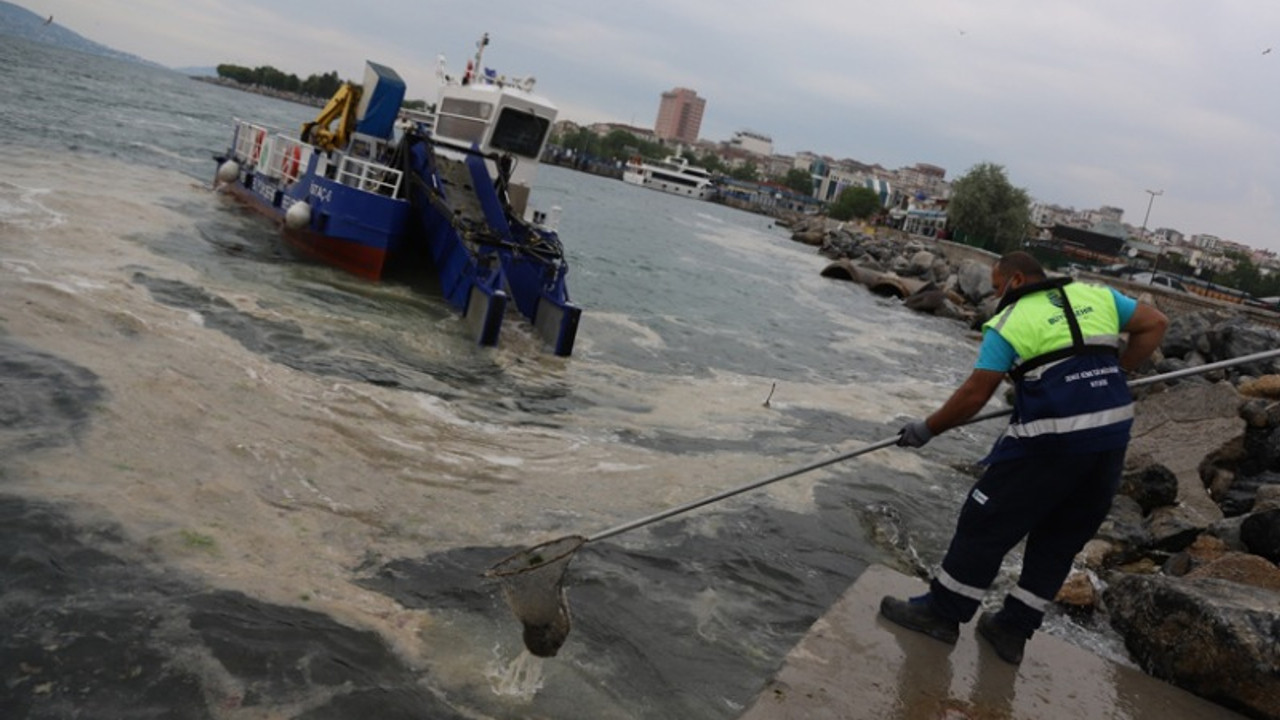 Kartal Belediyesi ve İBB deniz salyasına karşı çalışıyor: Tekrar olmayacağı anlamına gelmiyor