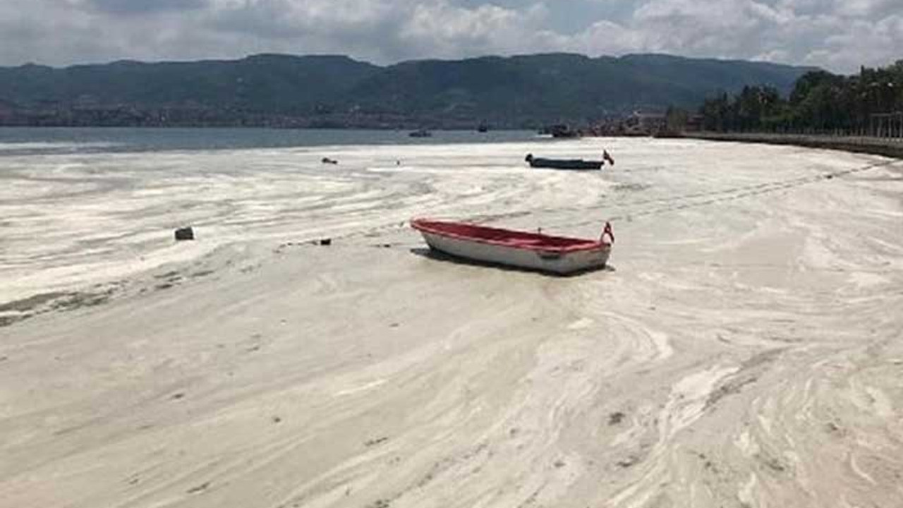 İzmit Körfezi yeniden deniz salyası ile kaplandı