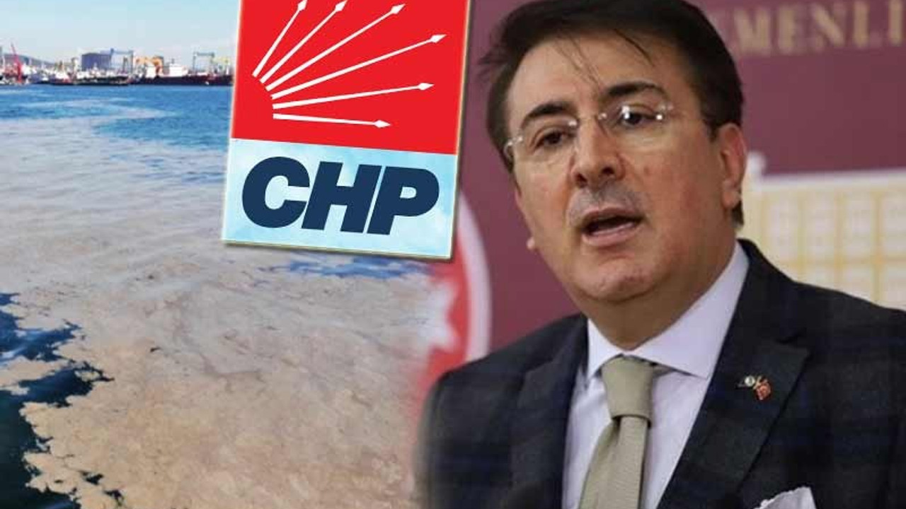 AKP'li vekil deniz salyasının sebebini açıkladı: Meymenetsizlik uğursuzluk demektir, bu CHP'yi işaret eder