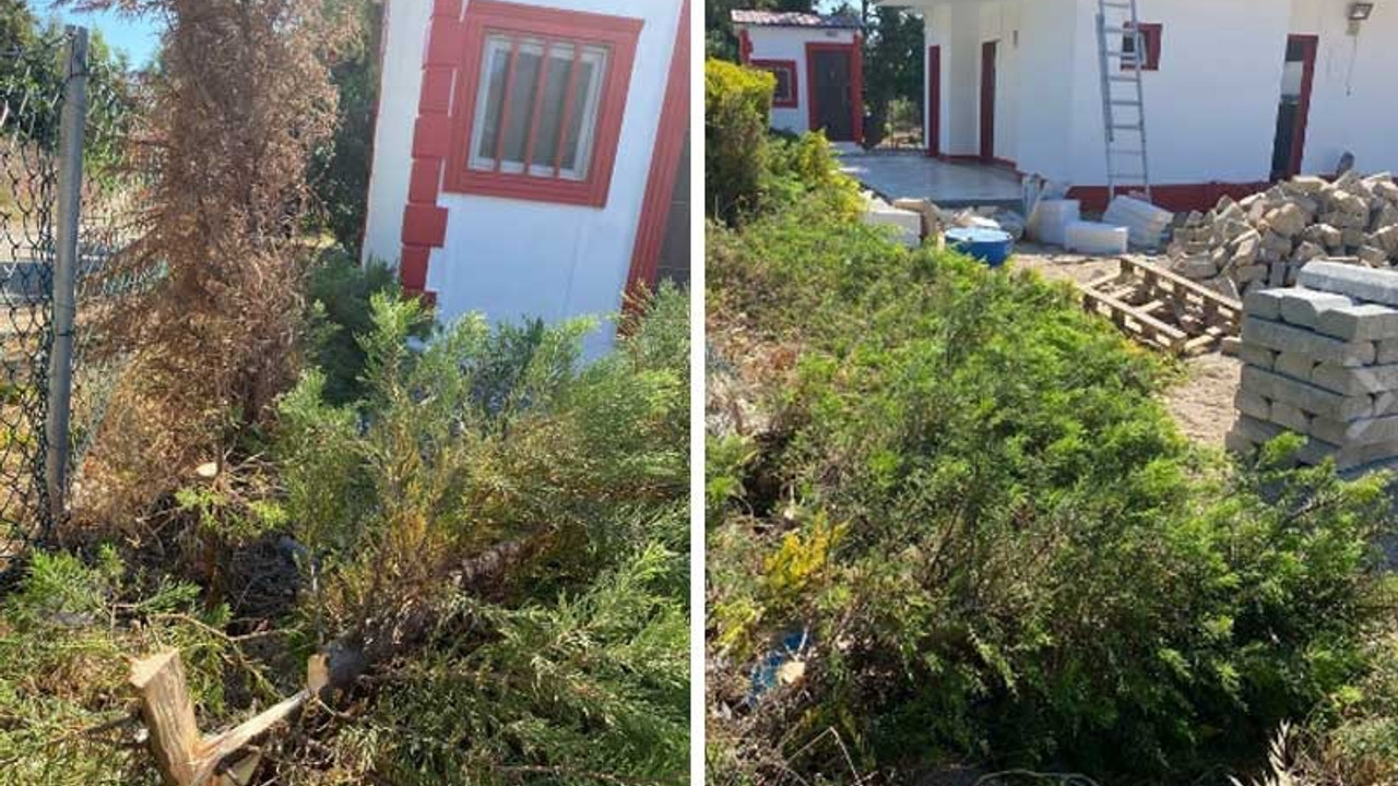 Karaburun'da belediye tesisine saldırı: Ağaçları kesip duş sistemlerini tahrip ettiler