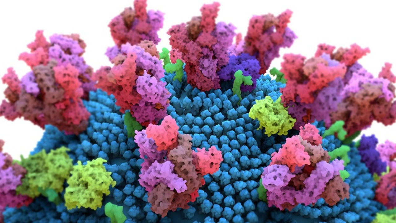 Covid-19 HIV hastasında 32 defa mutasyona uğradı