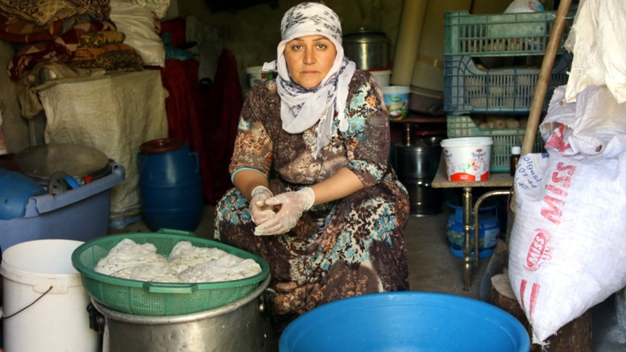 Otlu peynirin sofraya yolculuğunda tüm emek kadınların