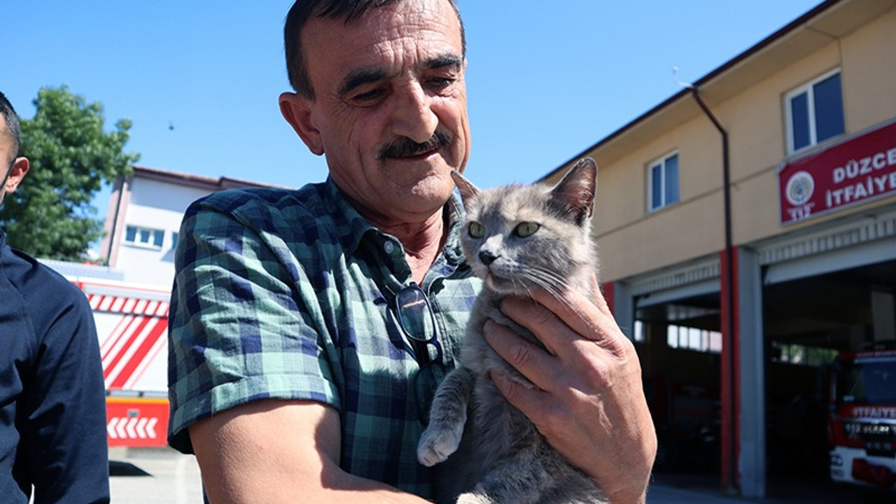 Bolu’da satılan aracın motoruna giren yavru kedi, Düzce’ye geldi