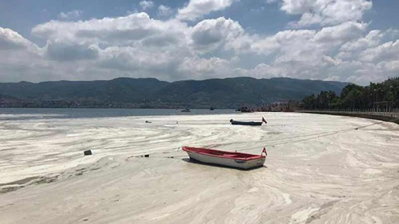 Nöroloji uzmanından müsilaj uyarısı; felç riski var