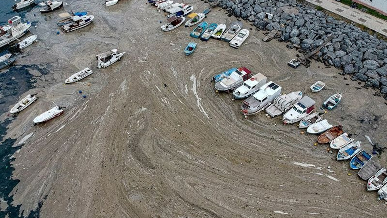 Müsilaj genelgesi: Marmara Denizi Eylem Planı Koordinasyon Kurulu kuruldu