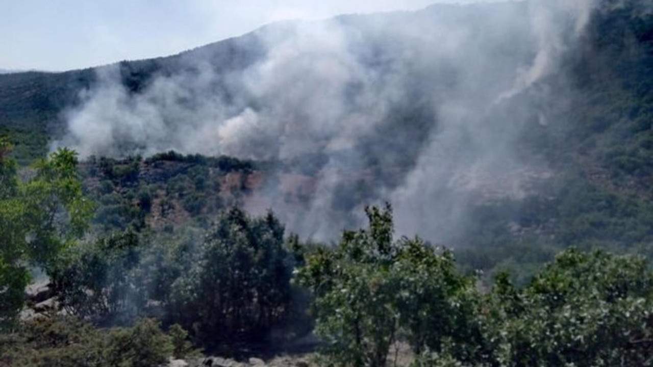 Dicle’deki yangın Elazığ sınırına ulaştı: 'Komple yanarsa terörist kalmaz'