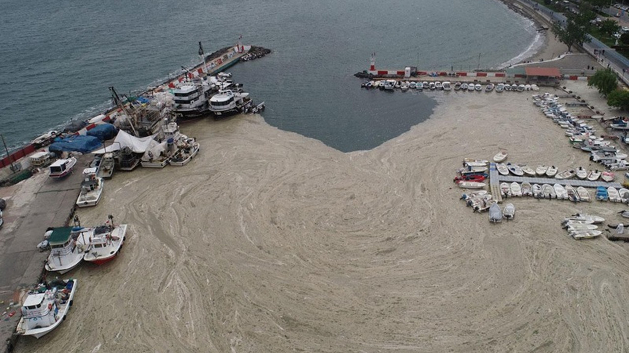 CHP'nin Marmara Denizi'ndeki kirliliğe karşı Meclis’e sunduğu önergeler AKP tarafından reddedilmiş