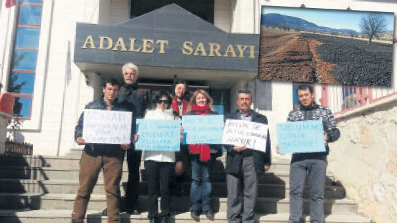 Atık maddeyi yiyen fareler 40 dakikada öldü