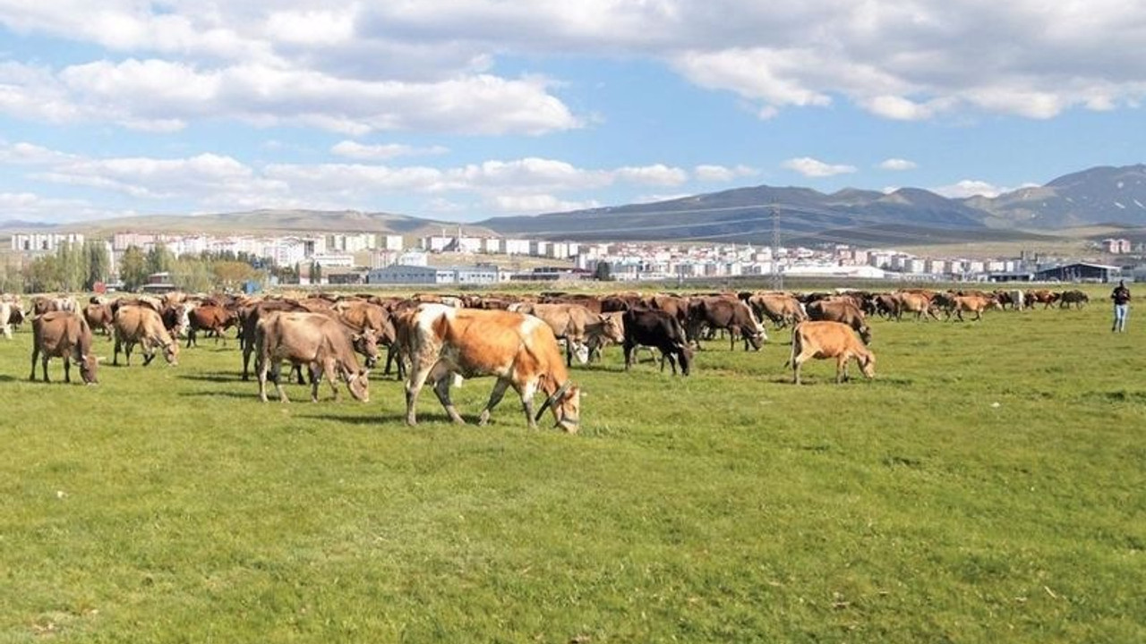 Kamuya ait arazileri vasıflarını değiştirerek satmışlar: Muhtarlar ve memurların da olduğu 30 gözaltı