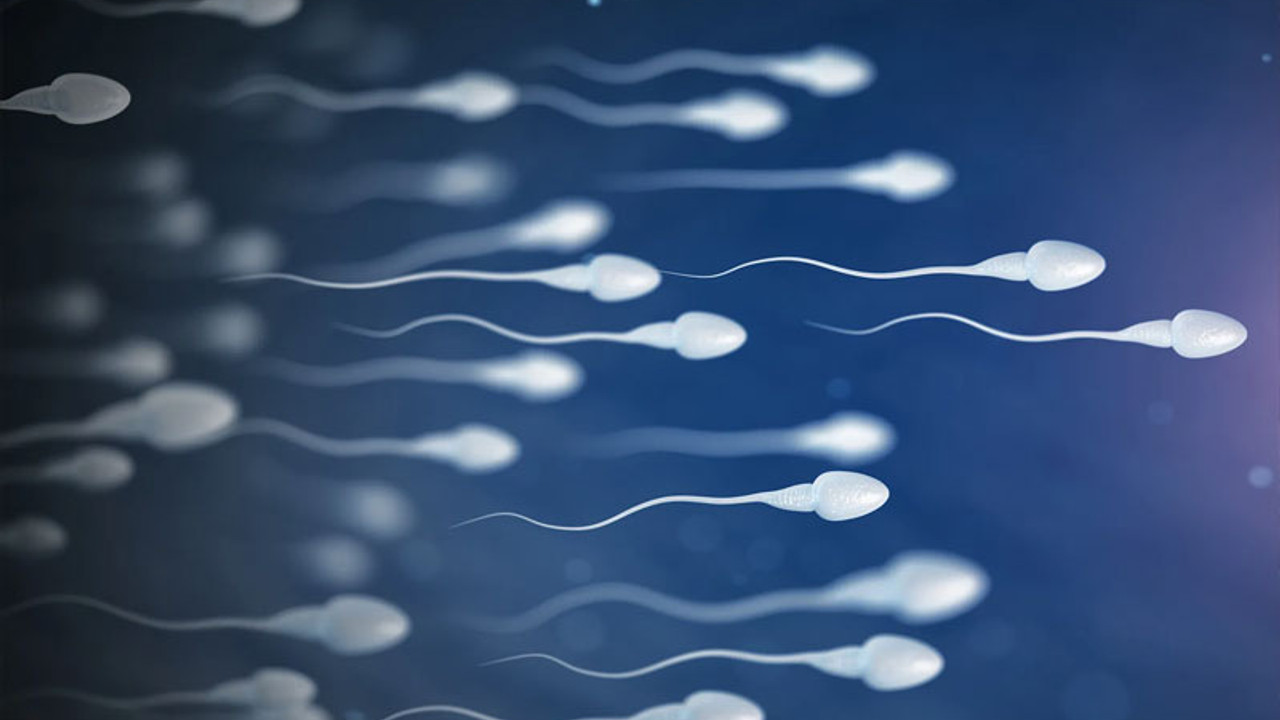 Coronavirus aşısı sperm sayısını etkilemiyor