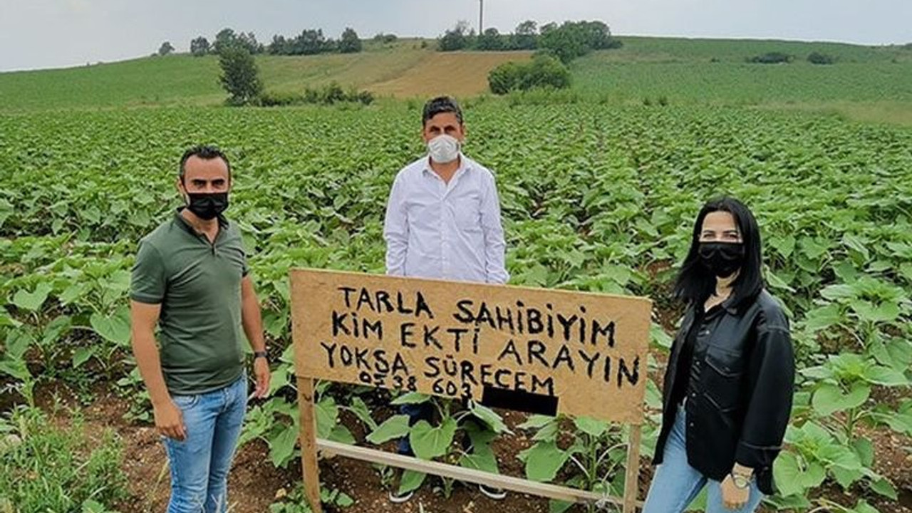 Tarlasına izinsiz ekim yapan kişiyi tabelayla arıyor: Ara yoksa sürecem