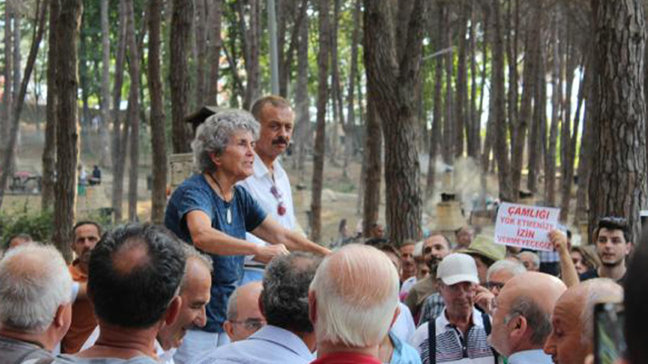 Ünyeliler Çamlık Projesi'ni durdurdu