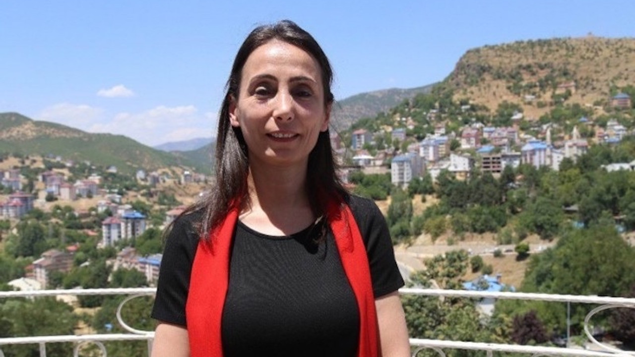 HDP'li Hatimoğulları: Bugün yaşananların hepsi parti kapatmayla eş değerdir