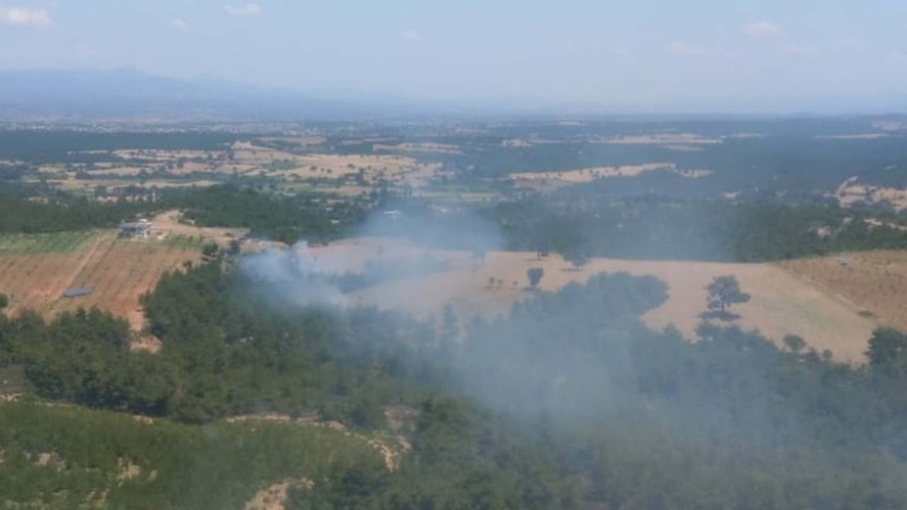 Çanakkale'de orman yangını